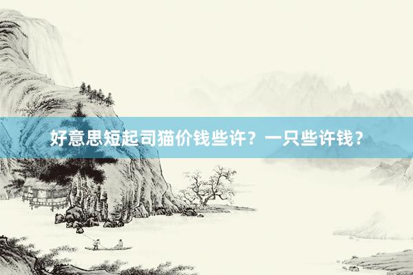 好意思短起司猫价钱些许？一只些许钱？