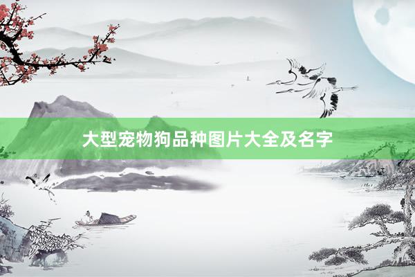 大型宠物狗品种图片大全及名字